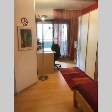 Neu Bayreuth: Spacious With Climate Control And Balconies Apartment Bayreuth